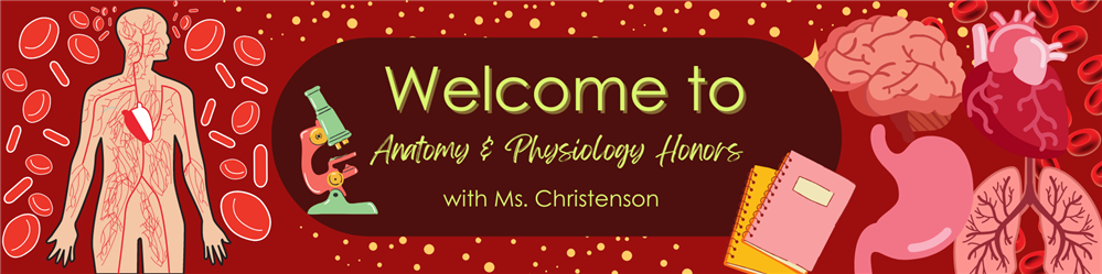 Anatomy & Physiology Header Anatomy & Physiology Header